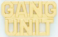 GANG UNIT COLLAR PINS - 1/4" TALL STACKED LETTERS - SOLD IN PAIRS.